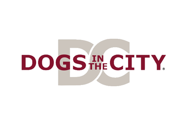 HUNDE IN DER STADT