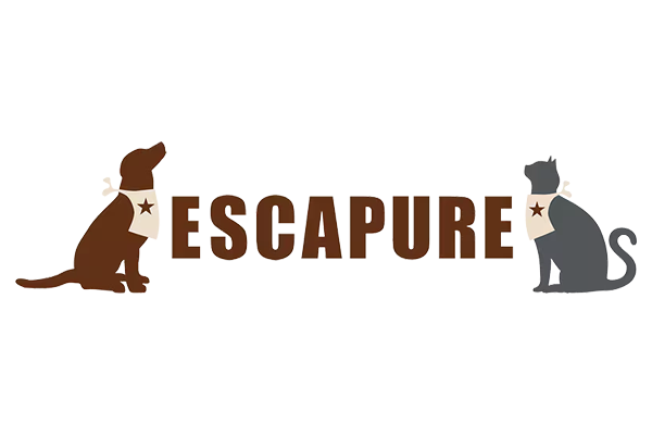 Escape