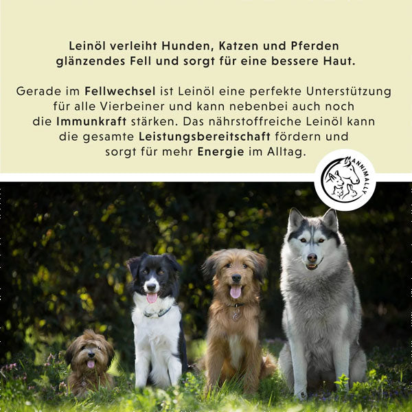 ANNIMALLY linseed oil