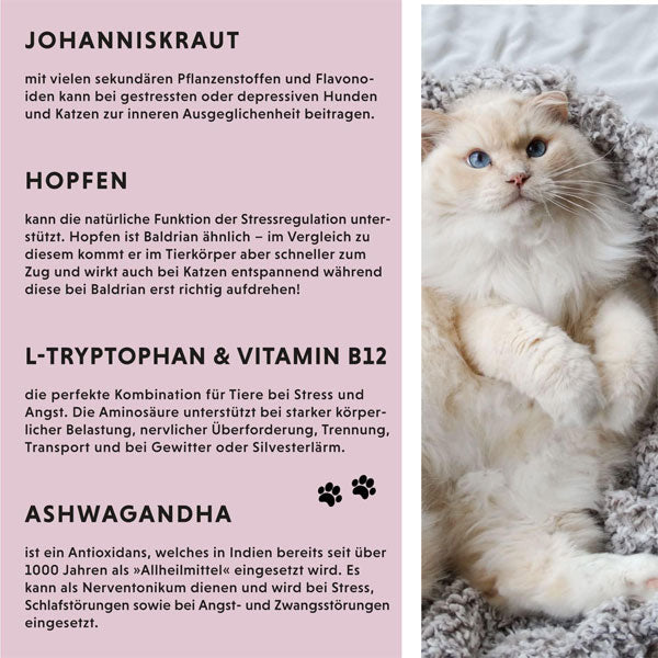 ANNIMALLY Relax liquid