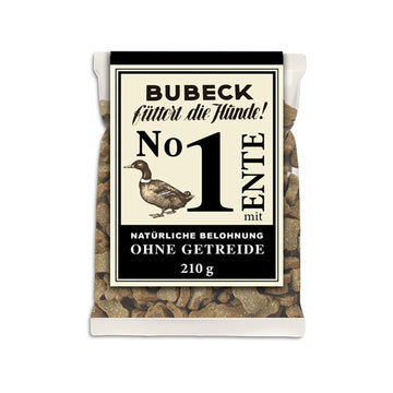 BUBECK No. 1 with duck