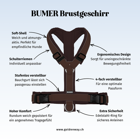 BUMER Hund Brustgeschirr Türkis