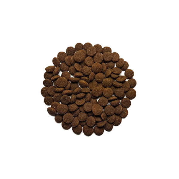 CAT'S LOVE Dry Adult Salmon