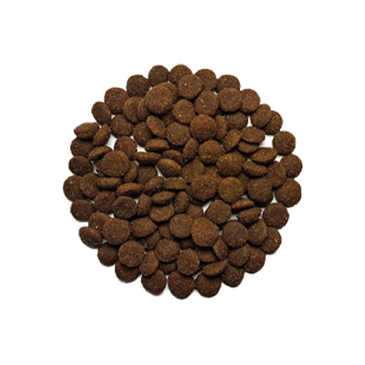 CAT'S LOVE Dry Senior Duck