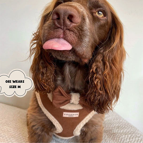 GOLDENWAY Reflective Safety Vest