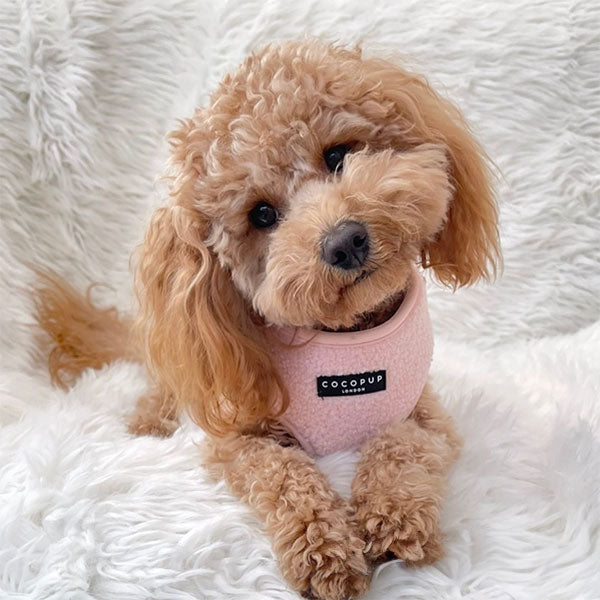 GOLDENWAY Reflective Safety Vest