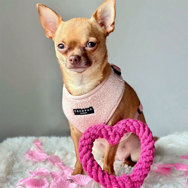 GOLDENWAY Reflective Safety Vest