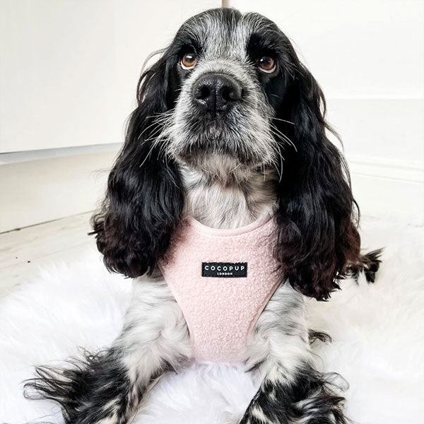 GOLDENWAY Reflective Safety Vest