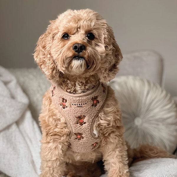 GOLDENWAY Reflective Safety Vest