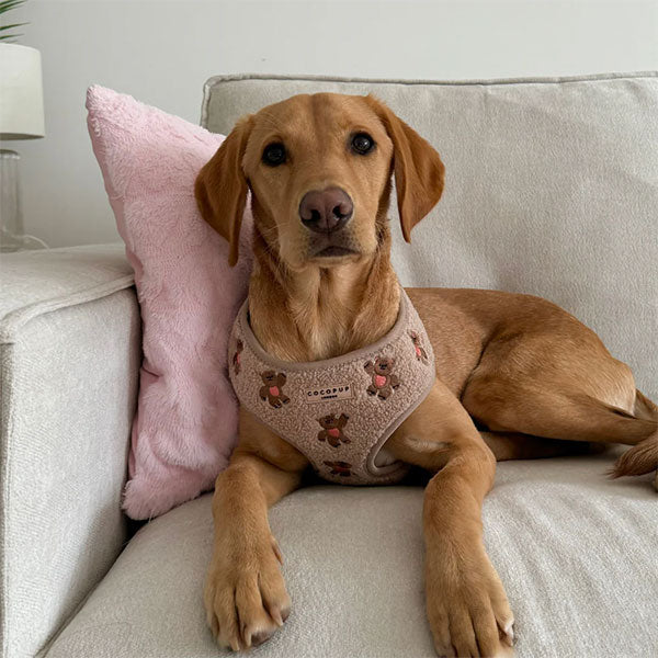 GOLDENWAY Reflective Safety Vest