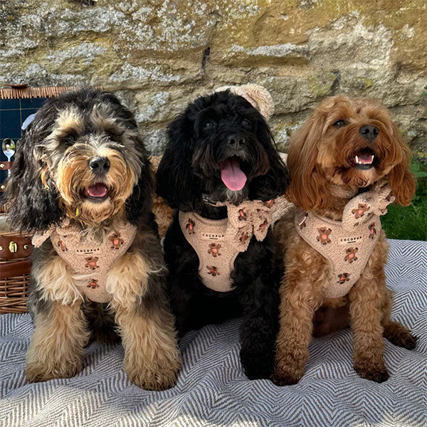 GOLDENWAY Reflective Safety Vest