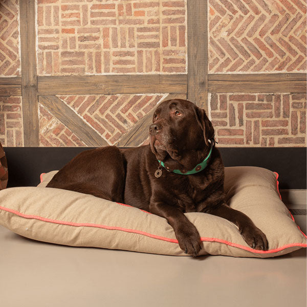 DOG WITH A MISSION Sundance Lounger Cushion