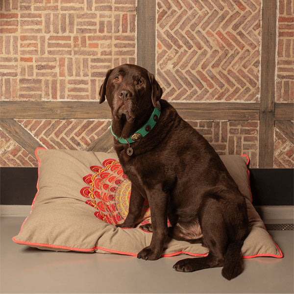 DOG WITH A MISSION Sundance Lounger Cushion