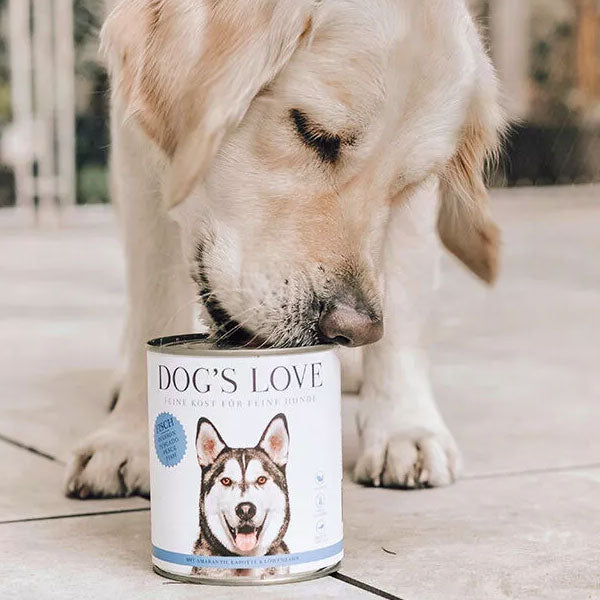 DOG'S LOVE Adult Classic Menu Fish