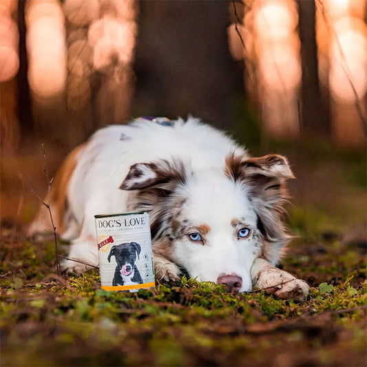 DOG’S LOVE BARF Huhn Pur