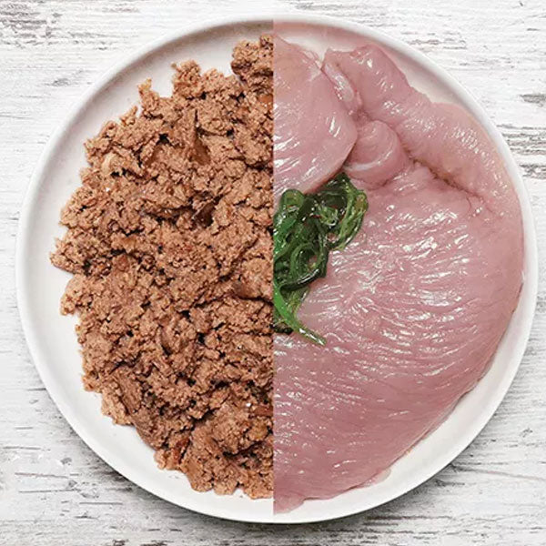 DOG'S LOVE BARF Pure Turkey