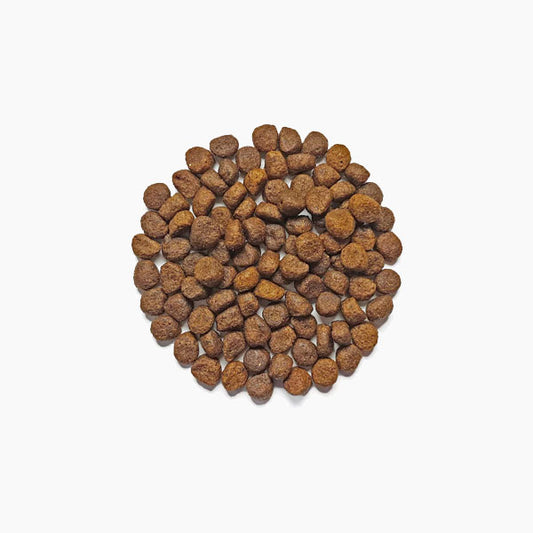 DOG’S LOVE Senior Trocken Wild