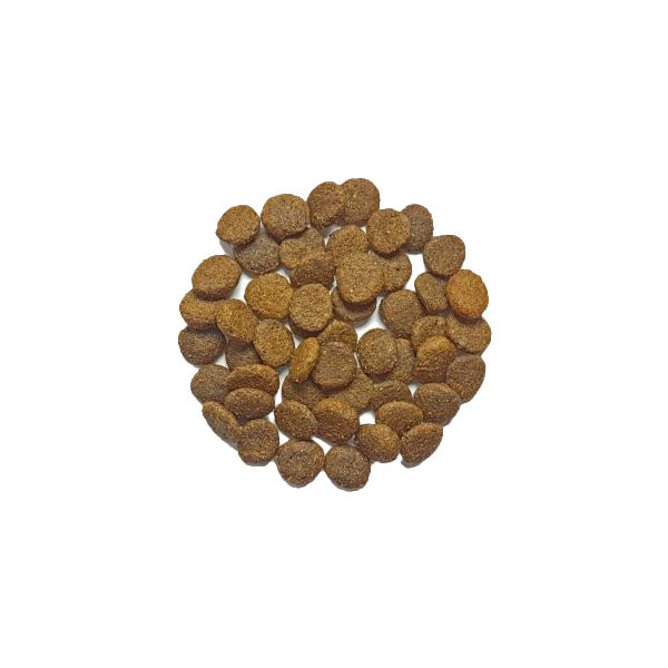 DOG'S LOVE Dried Turkey