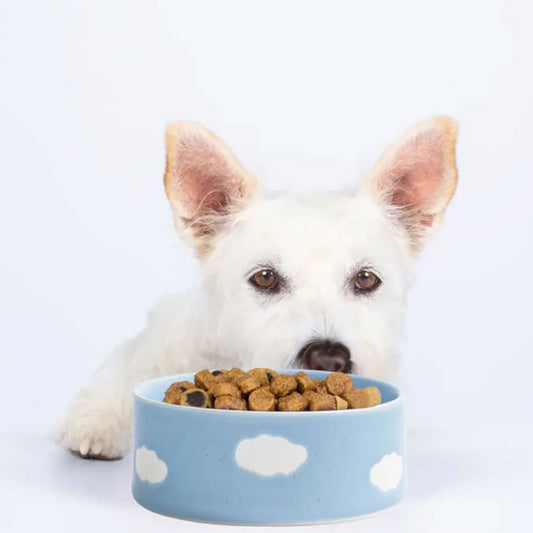 GOLDENWAY ceramic feeding bowl with wooden base