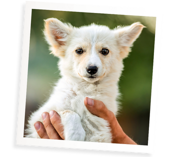 Wir möchten Sie in unserer <em>Familie</em> von Experten <em>willkommen</em> heissen