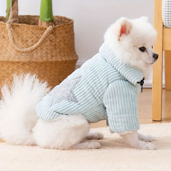 GOLDENWAY jacket with star appliqué