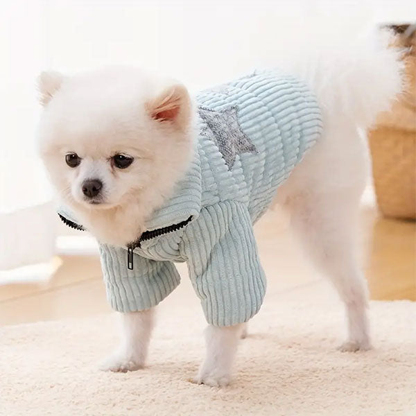 GOLDENWAY jacket with star appliqué