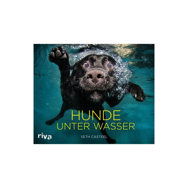 GOLDENWAY dogs under water