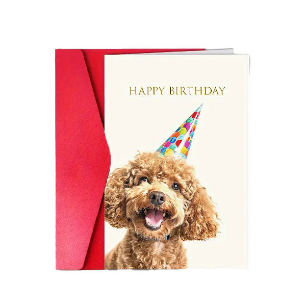 GOLDENWAY Birthday Card Poodle