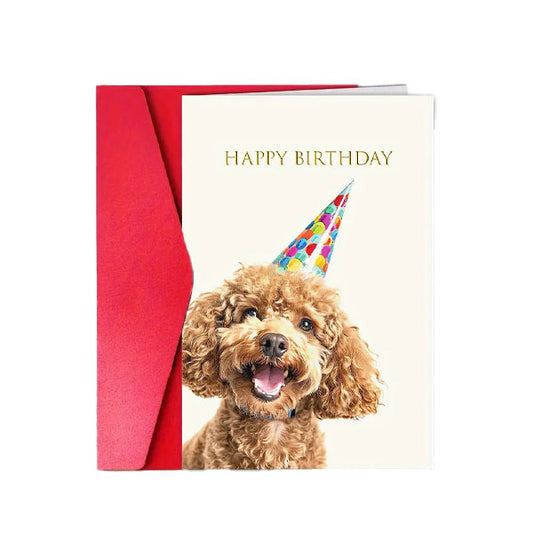 GOLDENWAY Birthday Card Poodle