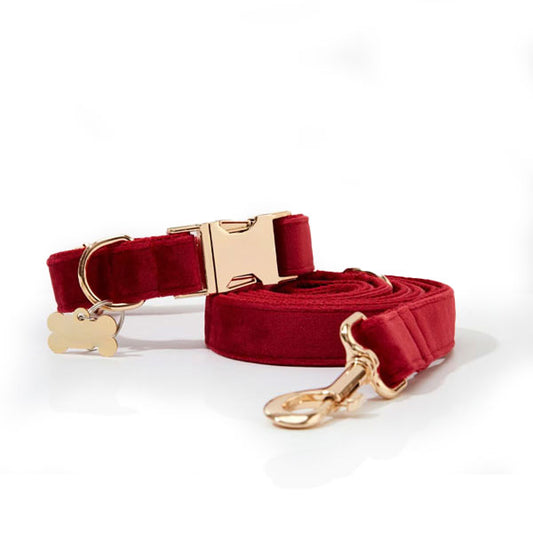 GOLDENWAY Halsband-Leinen Set