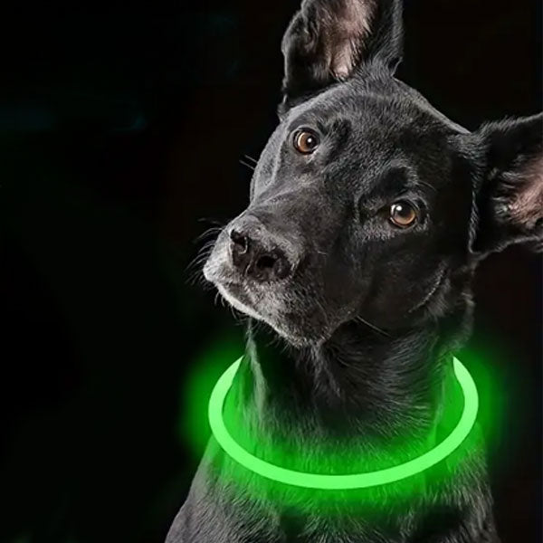 GOLDENWAY light-up collar