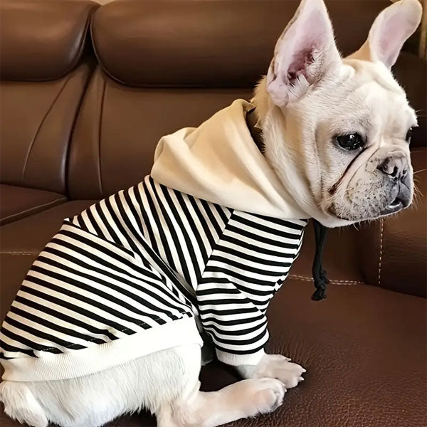 GOLDENWAY striped hoodie