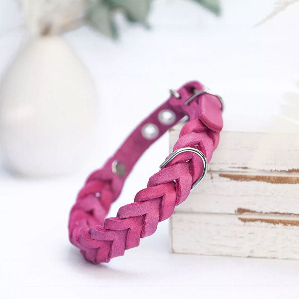 GOLDENWAY dog collar, braided 