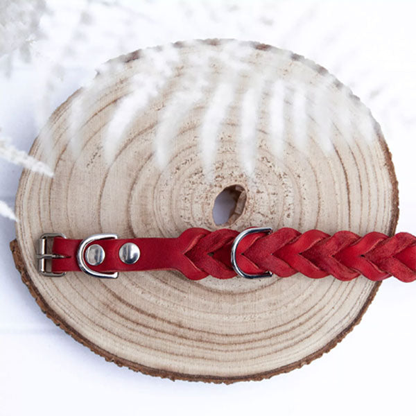 GOLDENWAY dog collar, braided 