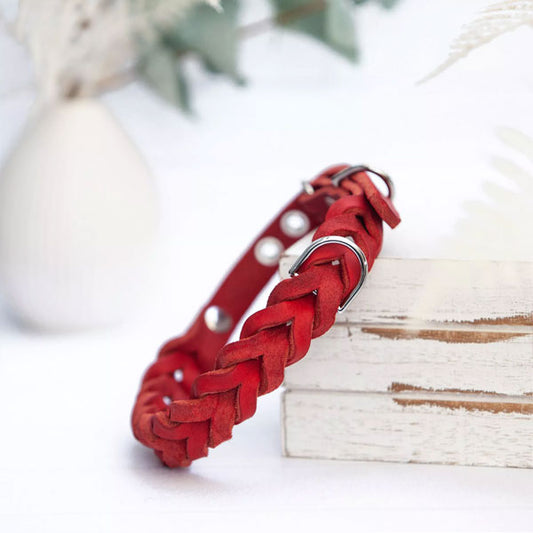 GOLDENWAY Hundehalsband, geflochten