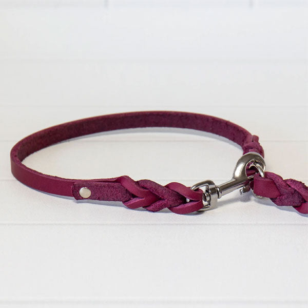 GOLDENWAY dog leash, braided