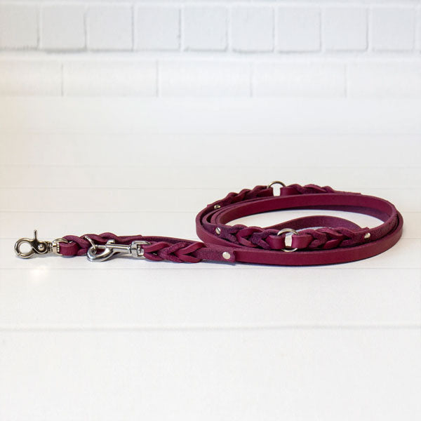 GOLDENWAY dog leash, braided