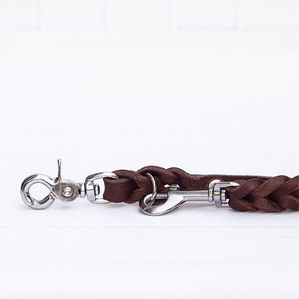 GOLDENWAY dog leash, braided
