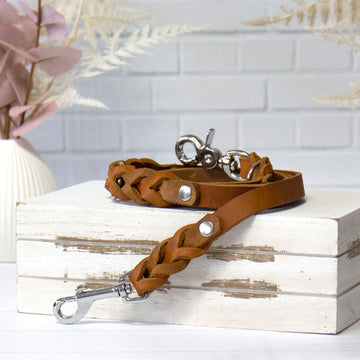 GOLDENWAY dog leash, braided