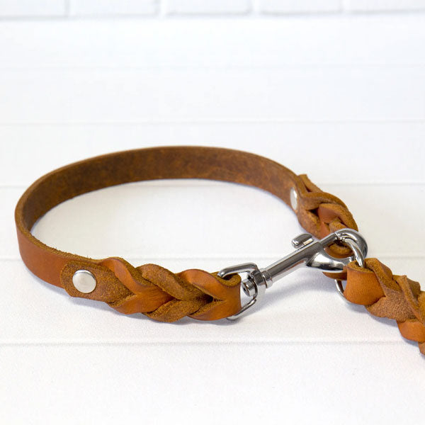 GOLDENWAY dog leash, braided