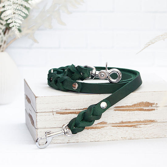 goldenway-hund-leine-geflochten-gruen-hov