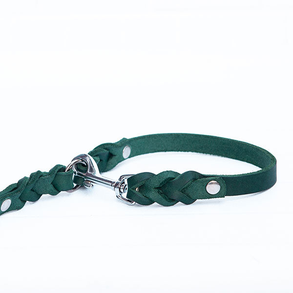 GOLDENWAY dog leash, braided