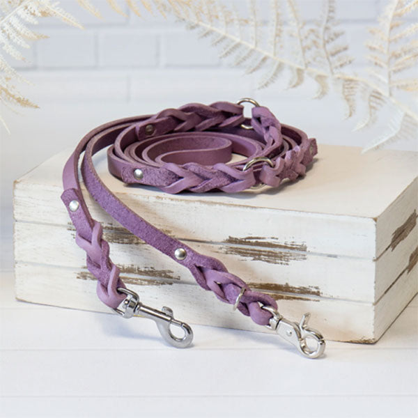 GOLDENWAY dog leash, braided