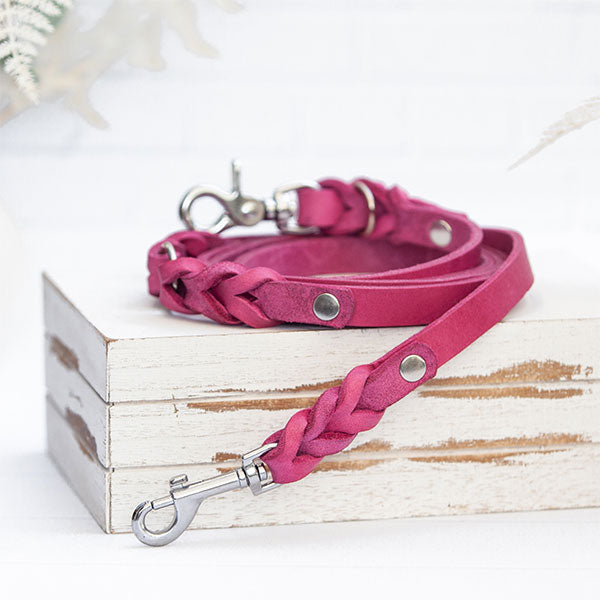 GOLDENWAY dog leash, braided