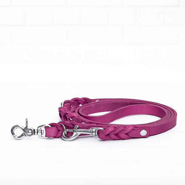 GOLDENWAY dog leash, braided