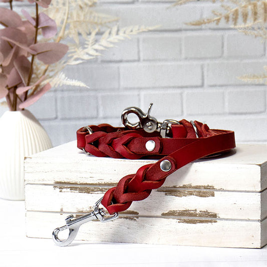 GOLDENWAY dog leash, braided