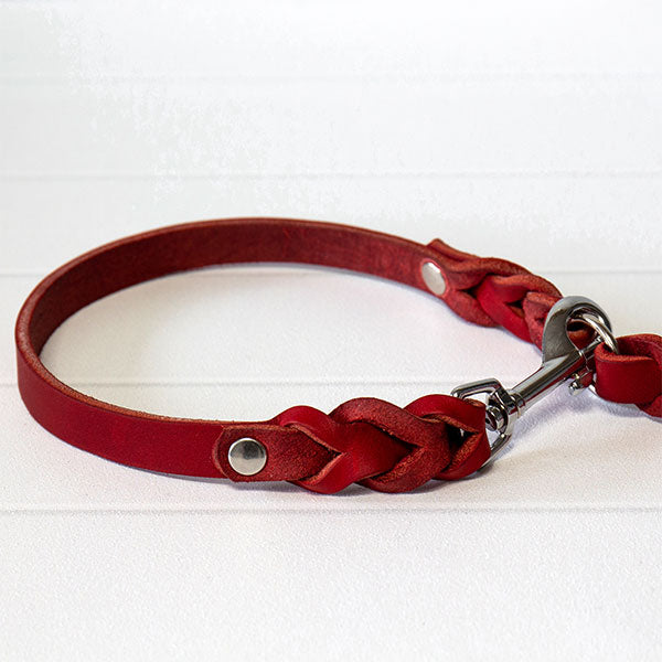GOLDENWAY dog leash, braided