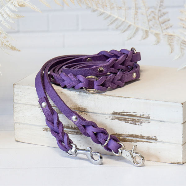 GOLDENWAY dog leash, braided