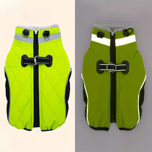 GOLDENWAY Jacket Neon