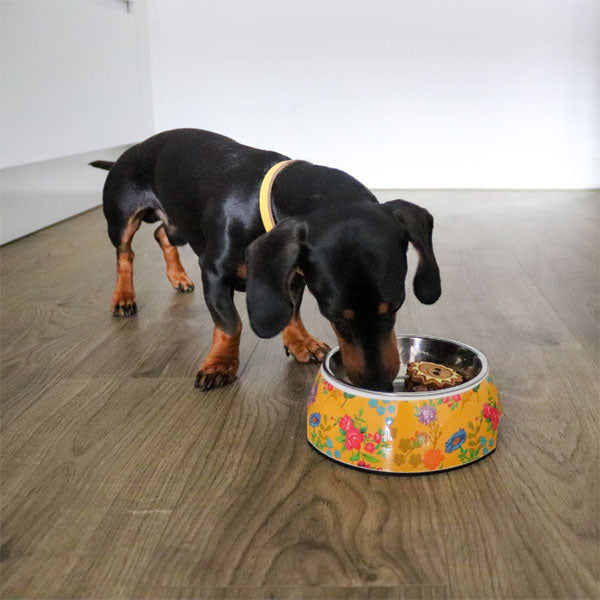 GOLDENWAY feeding bowl with flower design
